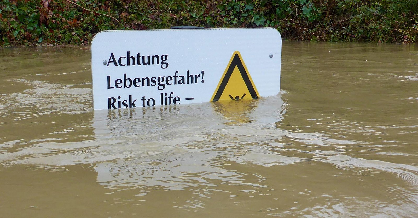 Rheinhochwasser 2.21